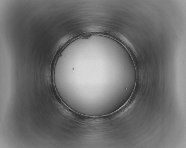 X0000110900930200906251334