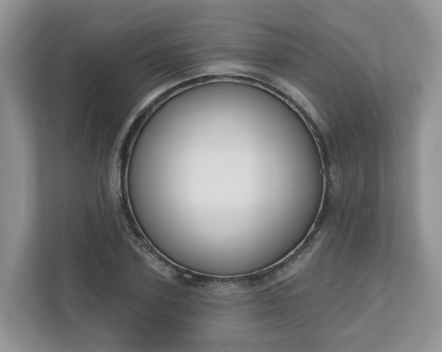 X0000110900931200906251334