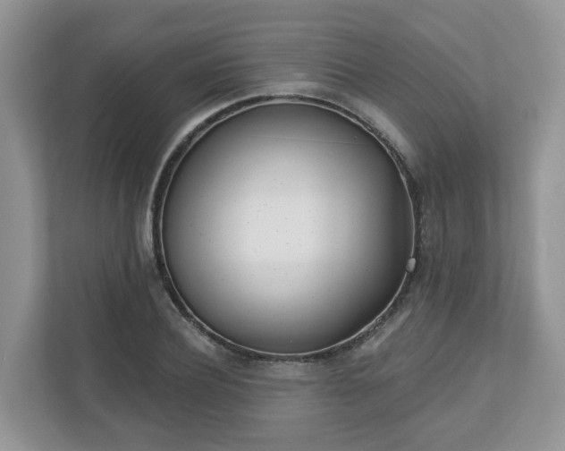 X0000110900932200906251334