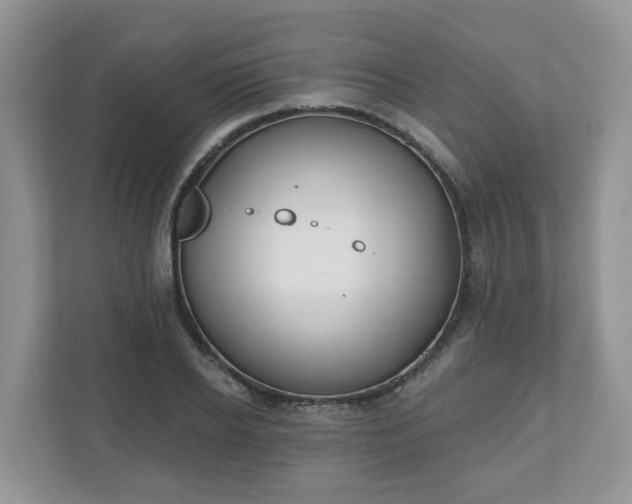 X0000110900934200906251334