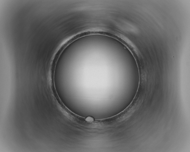 X0000110900935200906251334