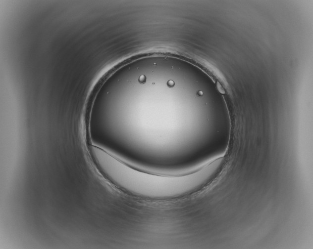 X0000110900936200906251334