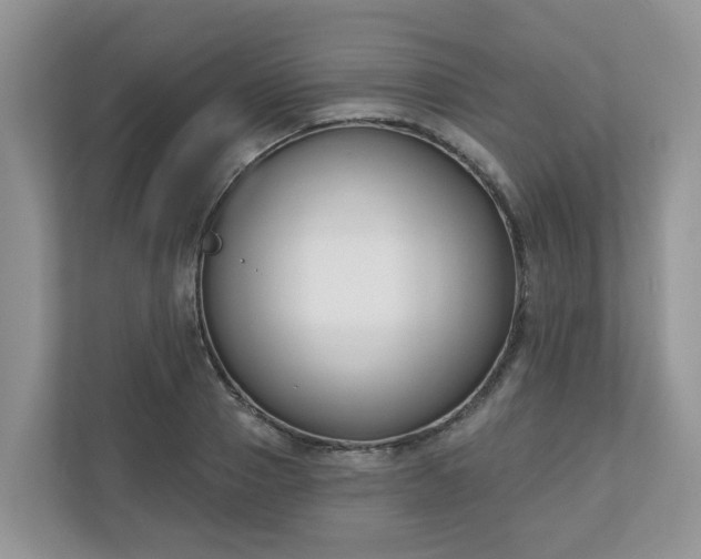 X0000110900937200906251334
