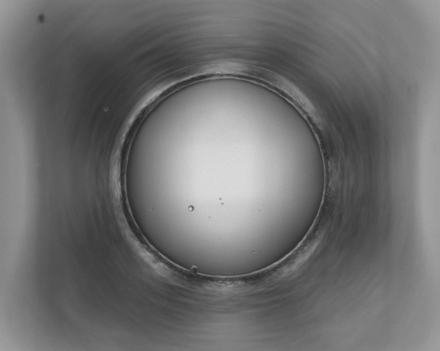 X0000110900939200906251335