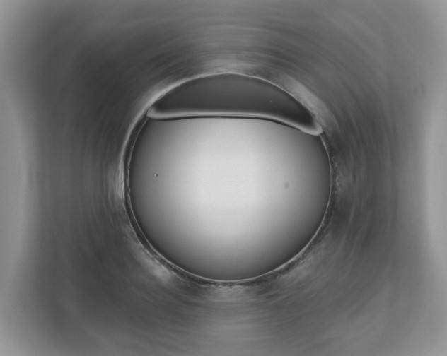 X0000110900940200906251335