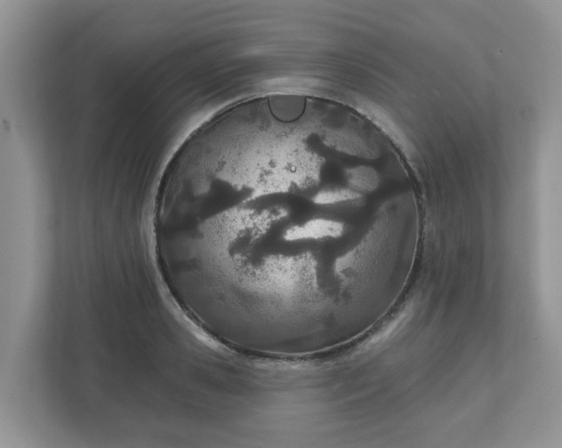 X0000110900941200906251335