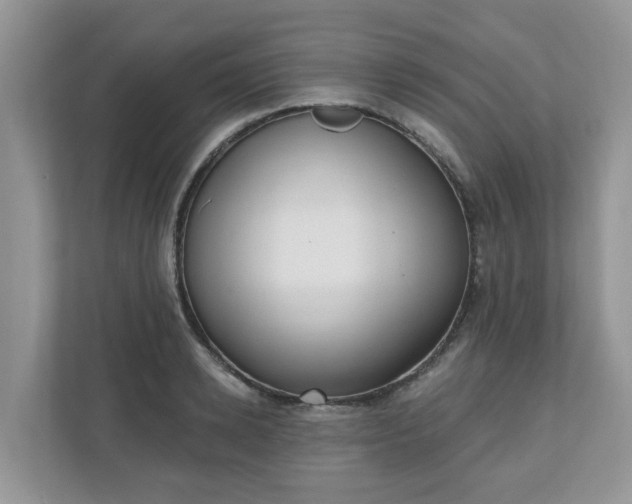 X0000110900942200906251335