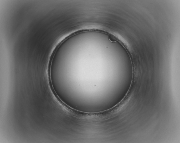 X0000110900943200906251335