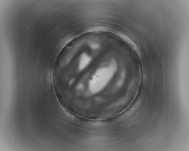 X0000110900945200906251335