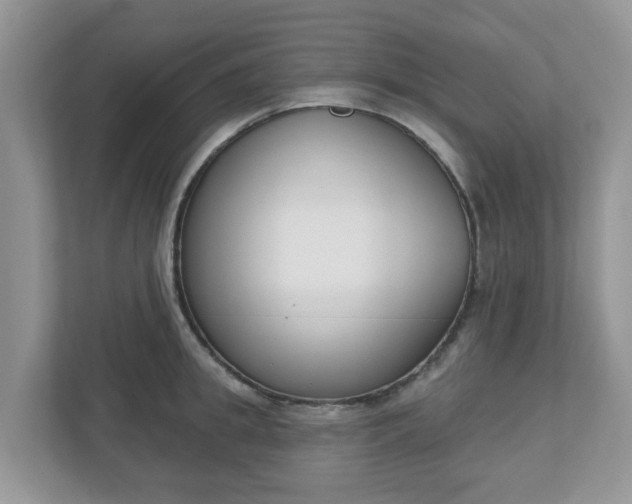 X0000110900949200906251335