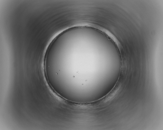 X0000110900951200906251335