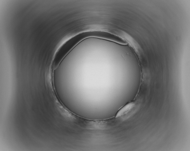 X0000110900952200906251335
