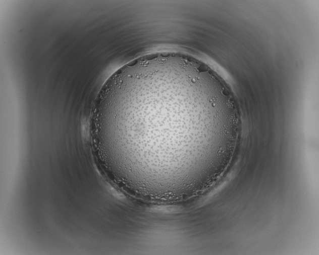 X0000110900953200906251335