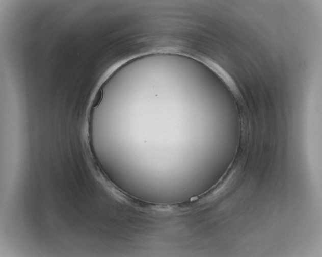 X0000110900956200906251335