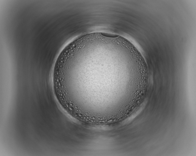 X0000110900957200906251335