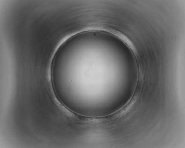X0000110900958200906251335