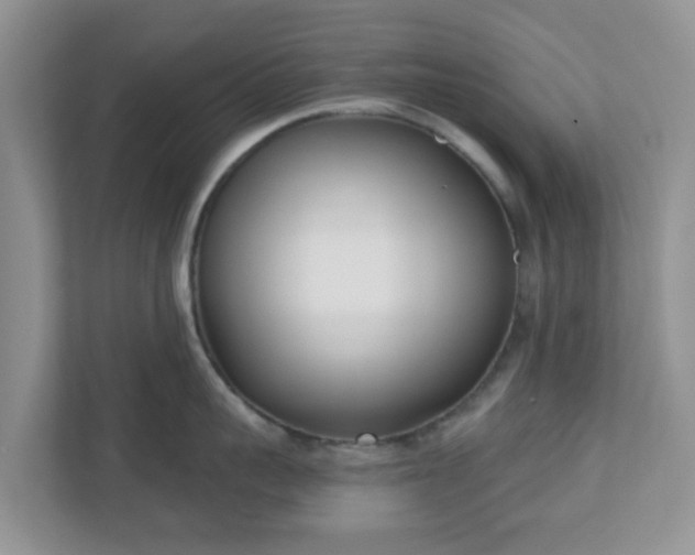 X0000110900959200906251335