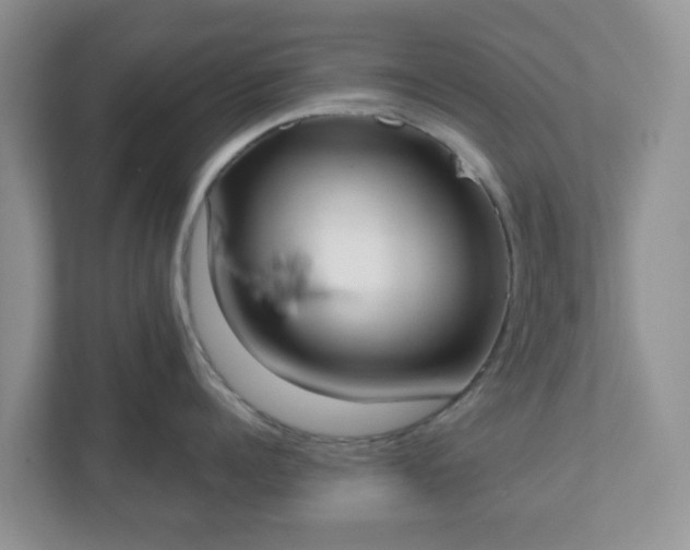 X0000110900960200906251335