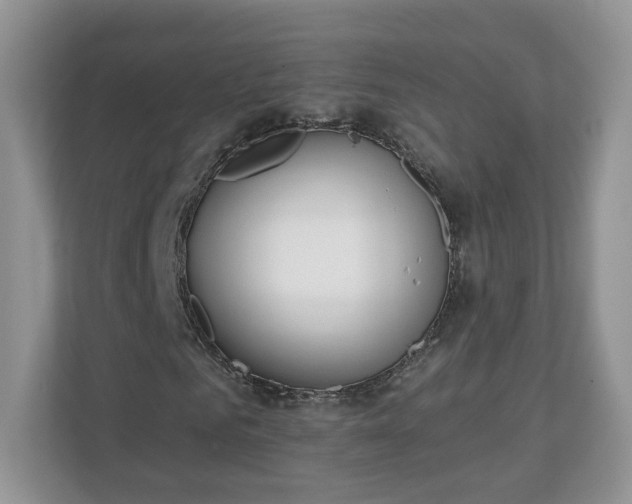 X0000110900961200906251334