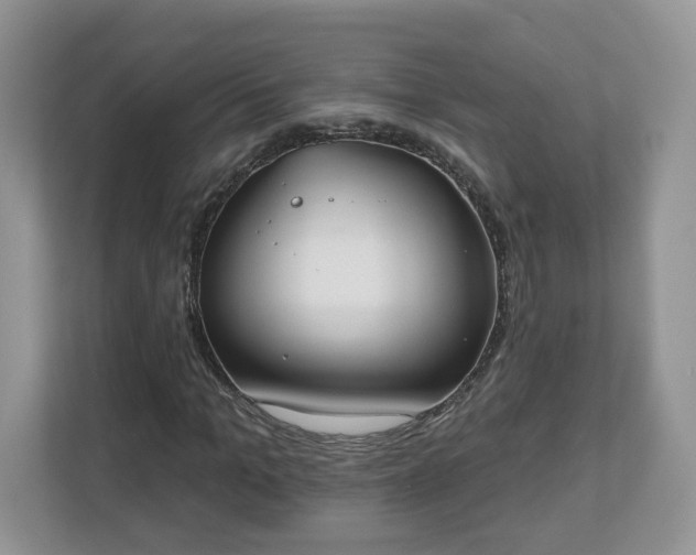 X0000110900965200906251334