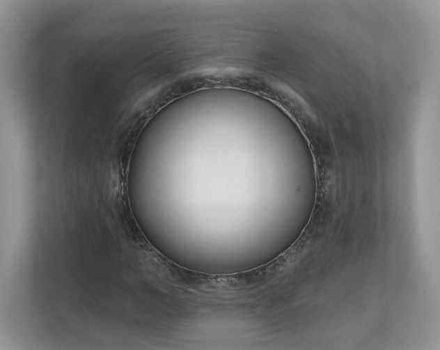 X0000110900966200906251334