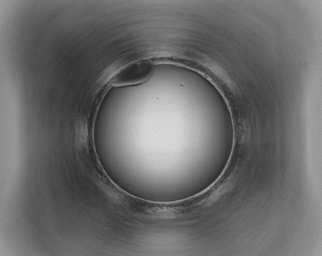 X0000110900969200906251334