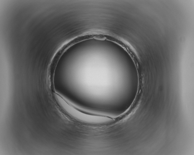X0000110900973200906251334