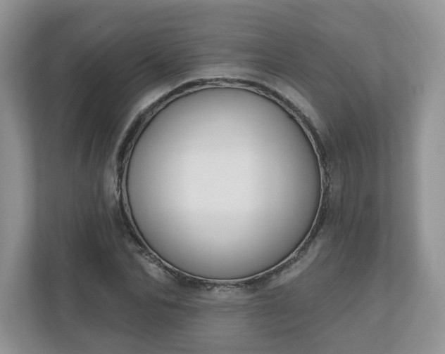 X0000110900974200906251334