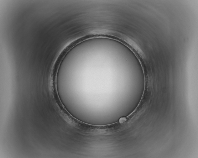 X0000110900976200906251334