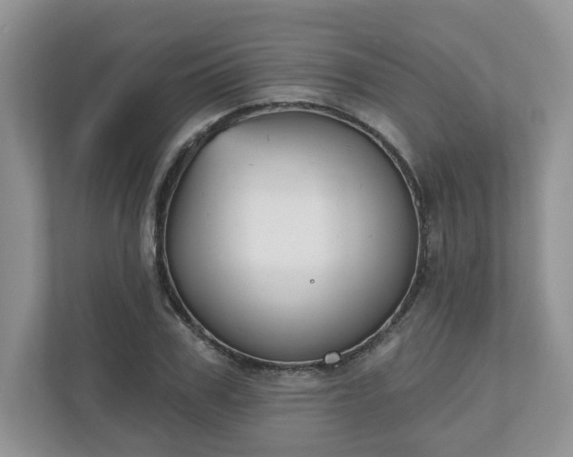 X0000110900979200906251334