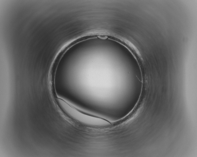 X0000110900981200906251334