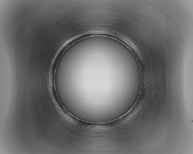 X0000110900984200906251334
