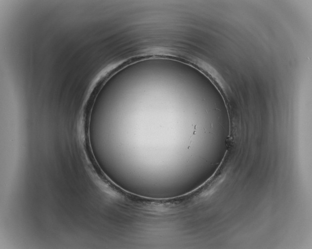 X0000110900987200906251334