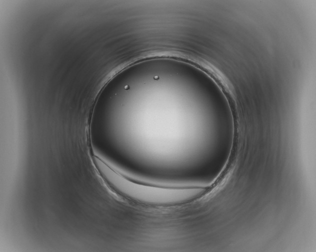 X0000110900993200906251334