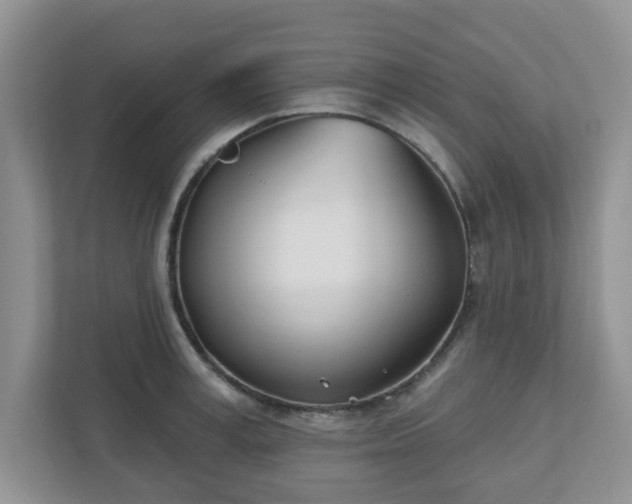 X0000110900995200906251334