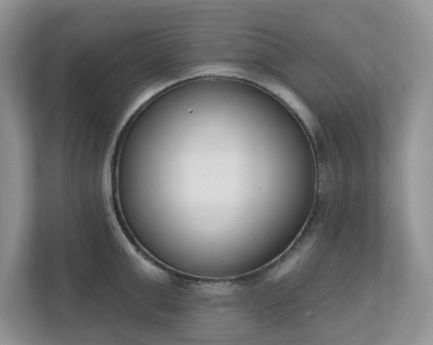 X0000110900999200906251334