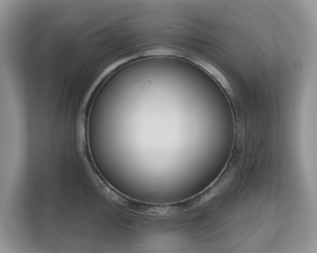 X0000110901000200906251334