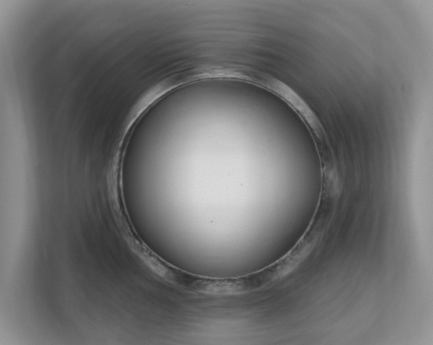 X0000110901002200906251334