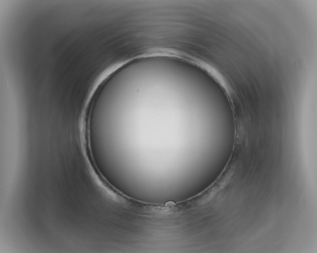X0000110901003200906251334