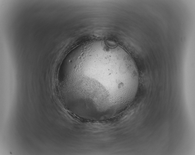 X0000110901009200906251333