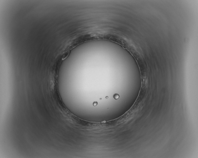 X0000110901012200906251333