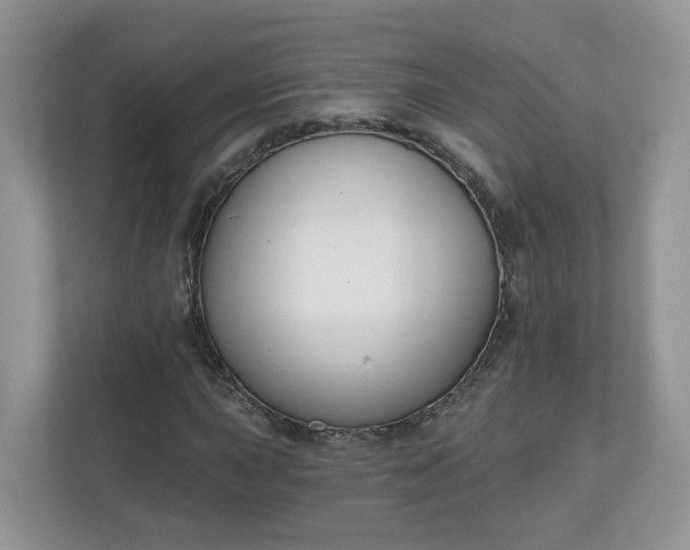 X0000110901015200906251333
