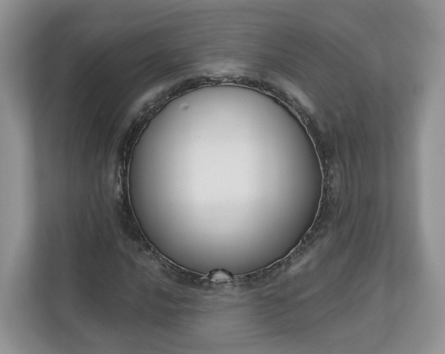 X0000110901016200906251333