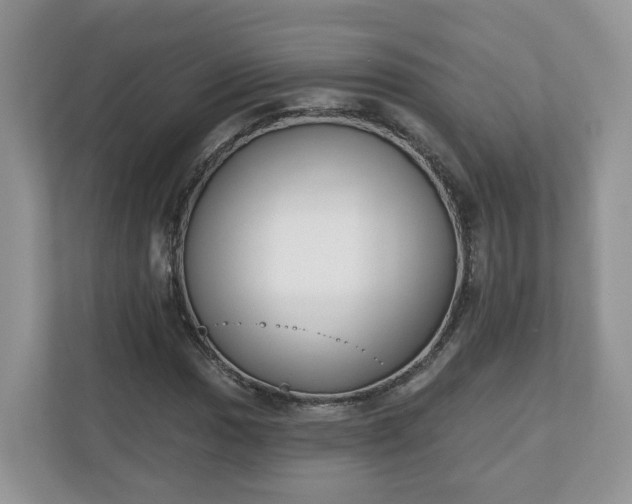 X0000110901017200906251333