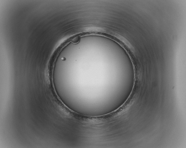 X0000110901022200906251333