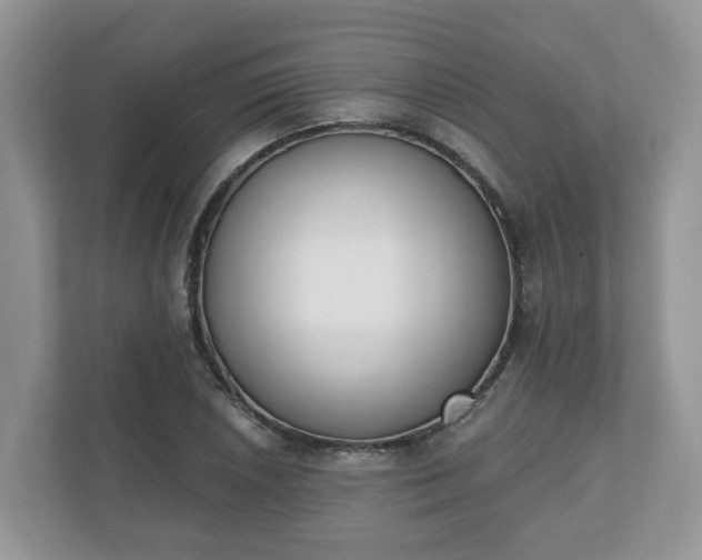 X0000110901026200906251333