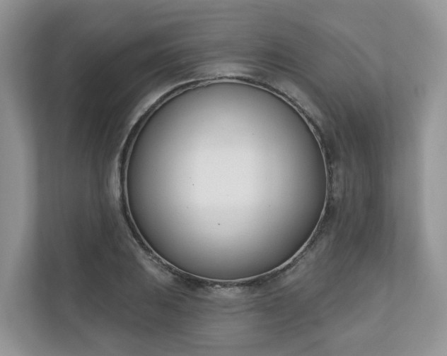 X0000110901031200906251333