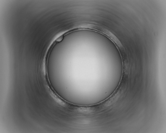 X0000110901036200906251333