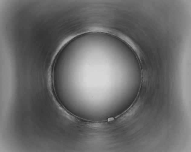 X0000110901048200906251333