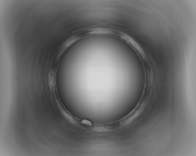 X0000110901049200906251333